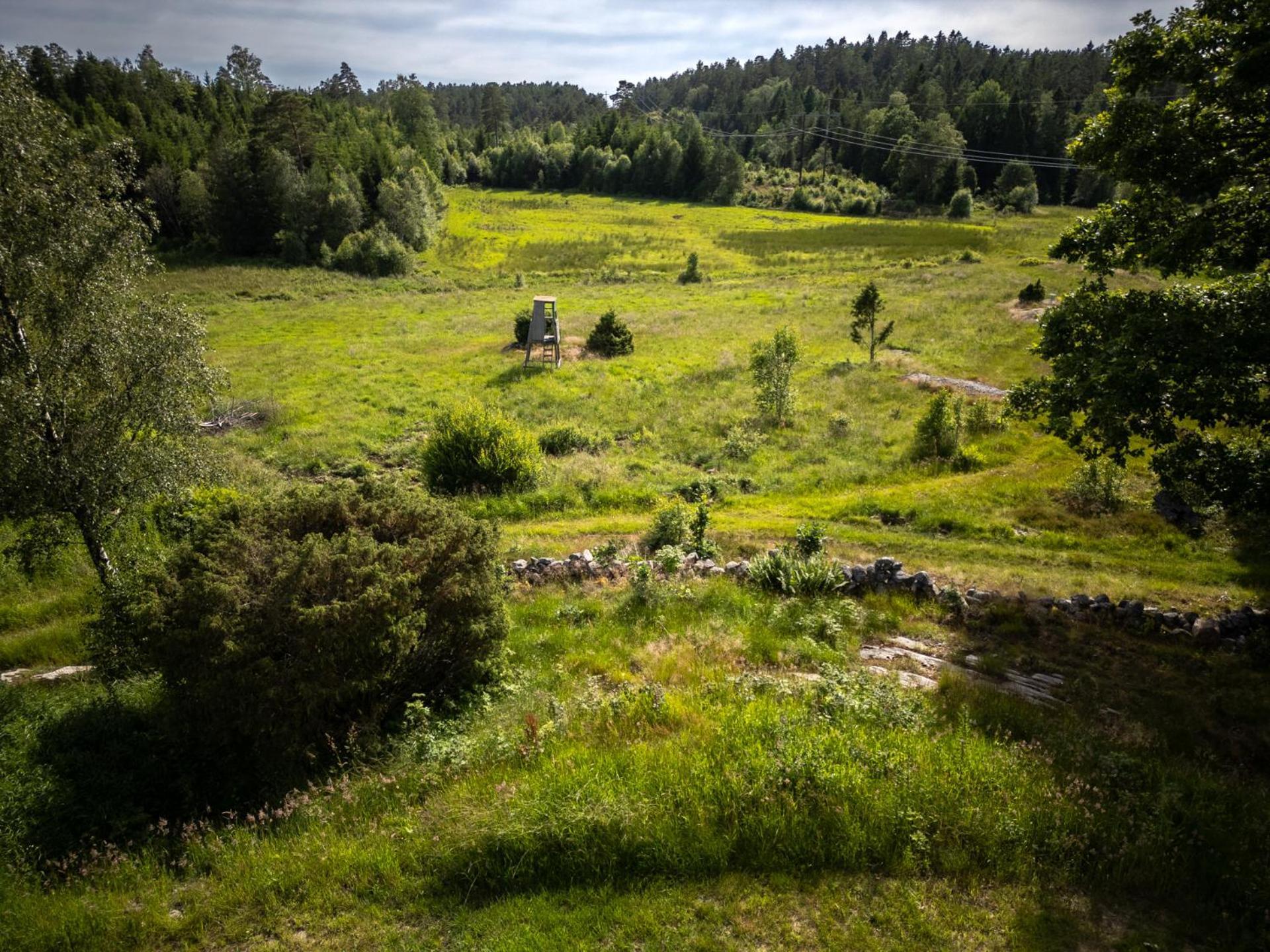 Wild Lodge Nol Kültér fotó