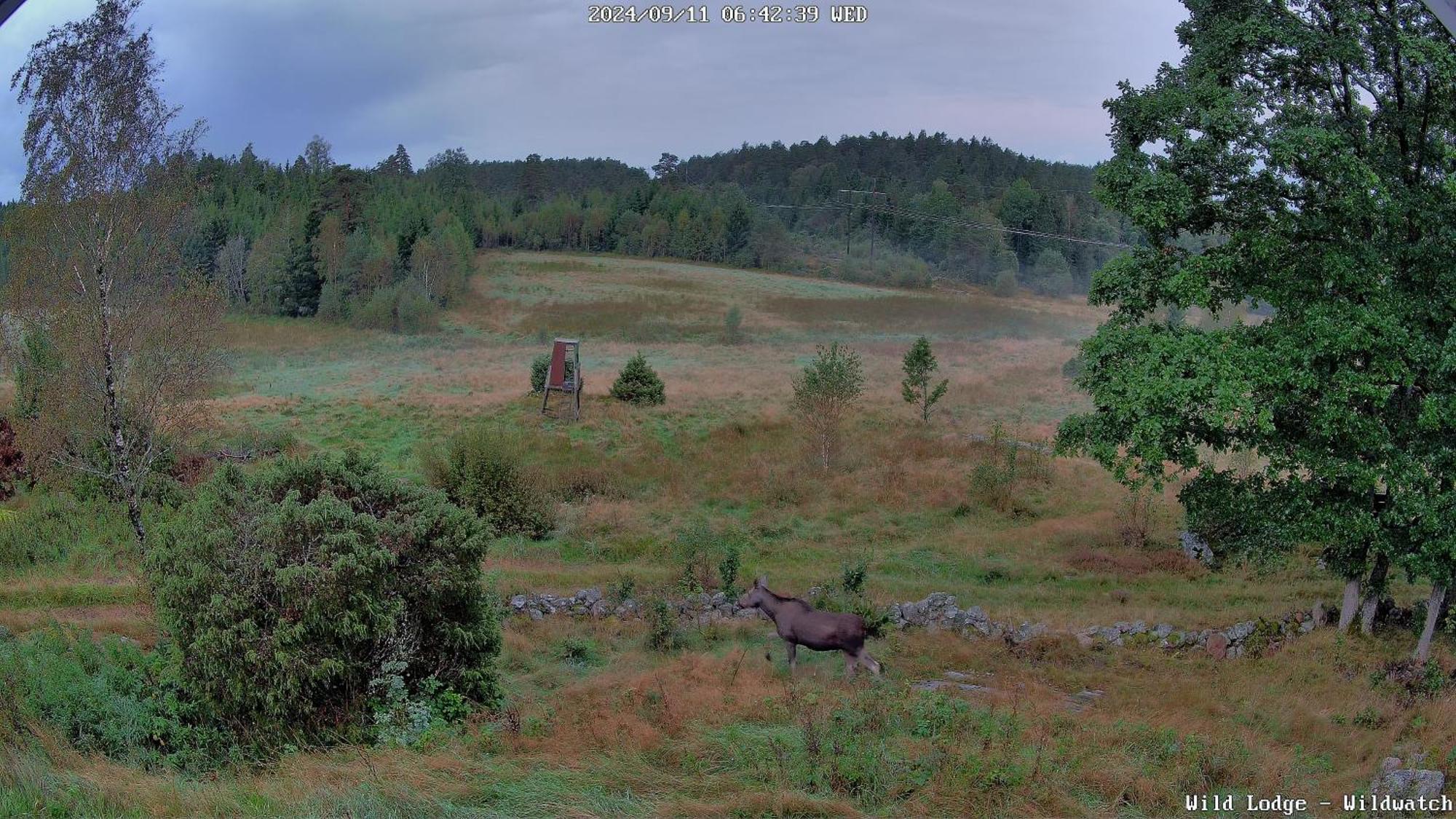 Wild Lodge Nol Kültér fotó